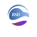 BSD Business Consulting